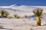 White Sands_32201